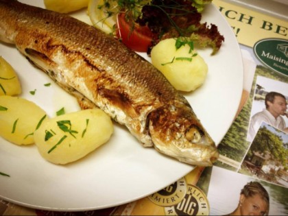 Foto: Maisinger Seehof
